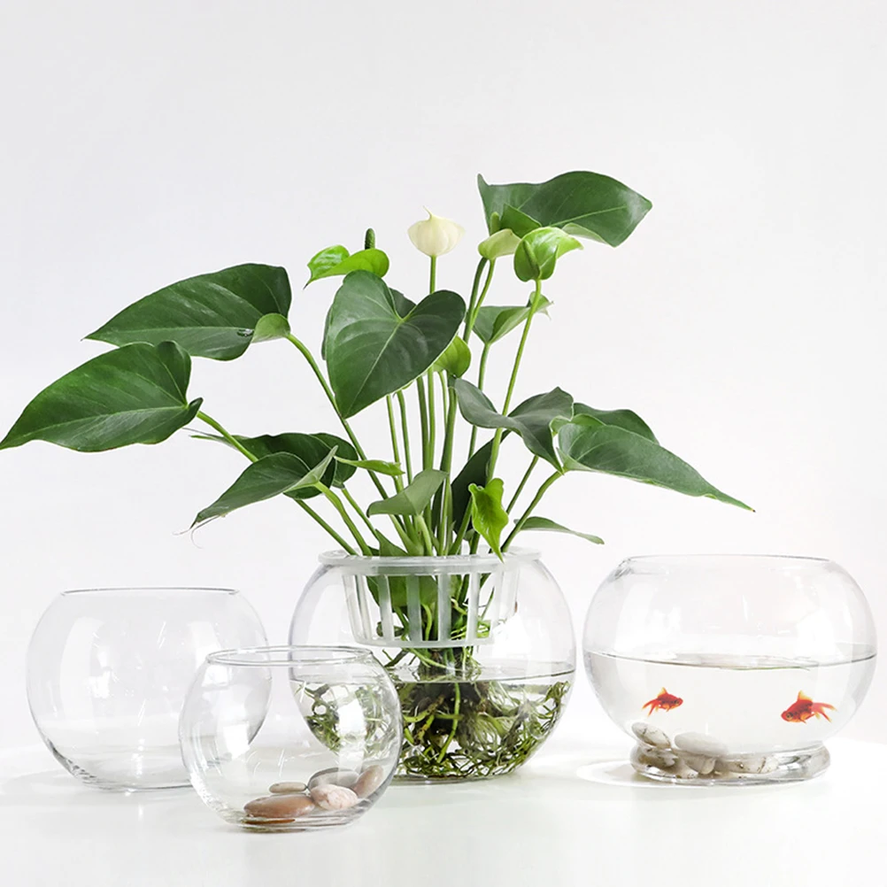 

2 Pcs Plant Propagation Jars Indoor Vase Decor Glass Planter Pot Water Lotus Bowl Pots