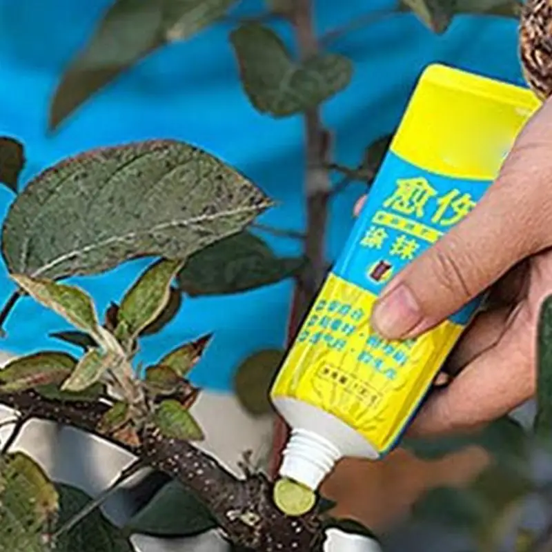 Pruning Sealer Tree Wound Repair Grafting Wax with Brush 100g Plant Grafting Paste for Indoor and Outdoor Plants Trees Shrubs