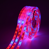 5M LED Phyto Lamps Grow Lights SMD 5050 LED Strip 12V Waterproof Flower Plant Growth Light Lamps for Greenhouse Hydroponic Plant