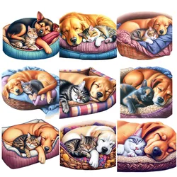 Sleepy little dog and kitten Iron On Patch Heat Transfer Printing On Children's clothing dtf iron on heat transfer for clothing