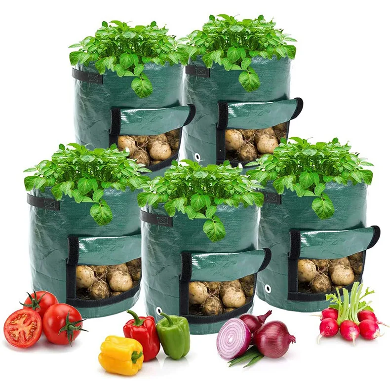 Bolsas de cultivo de patatas PE, maceta de cultivo de tela DIY, macetas de jardín al aire libre, herramientas de jardín, Veget Garden, 3 galones