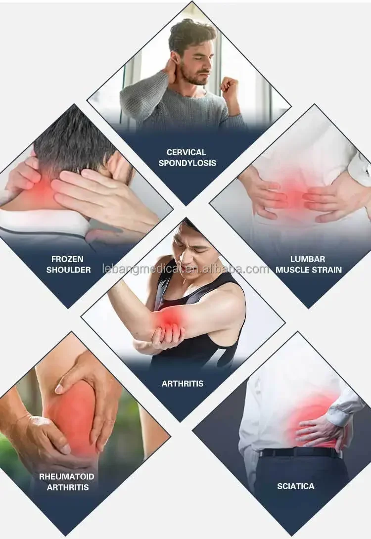 

Low Frequency Pulse Massage Therapy Instrument