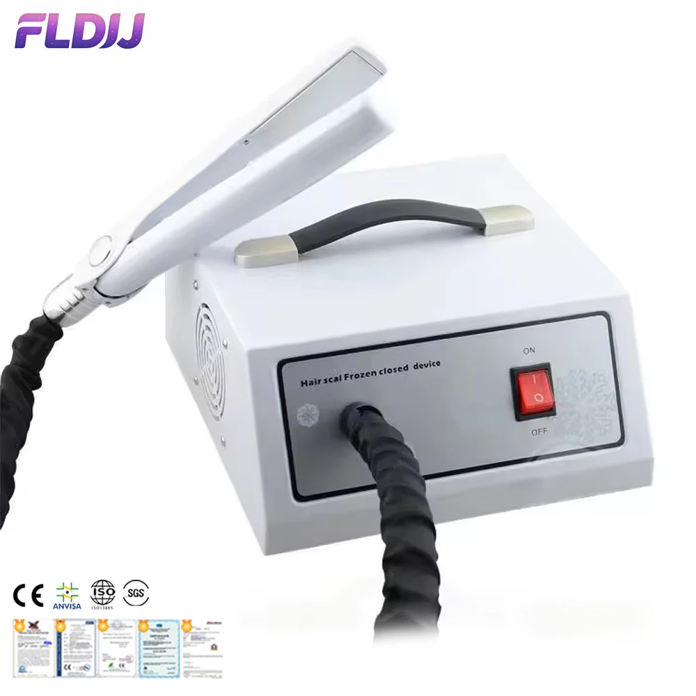 

Handheld Hair Care Freeze-Enclosed Iron - Professional Salon Care Equipment for Perming Straightening and Coloring (OEM Support)