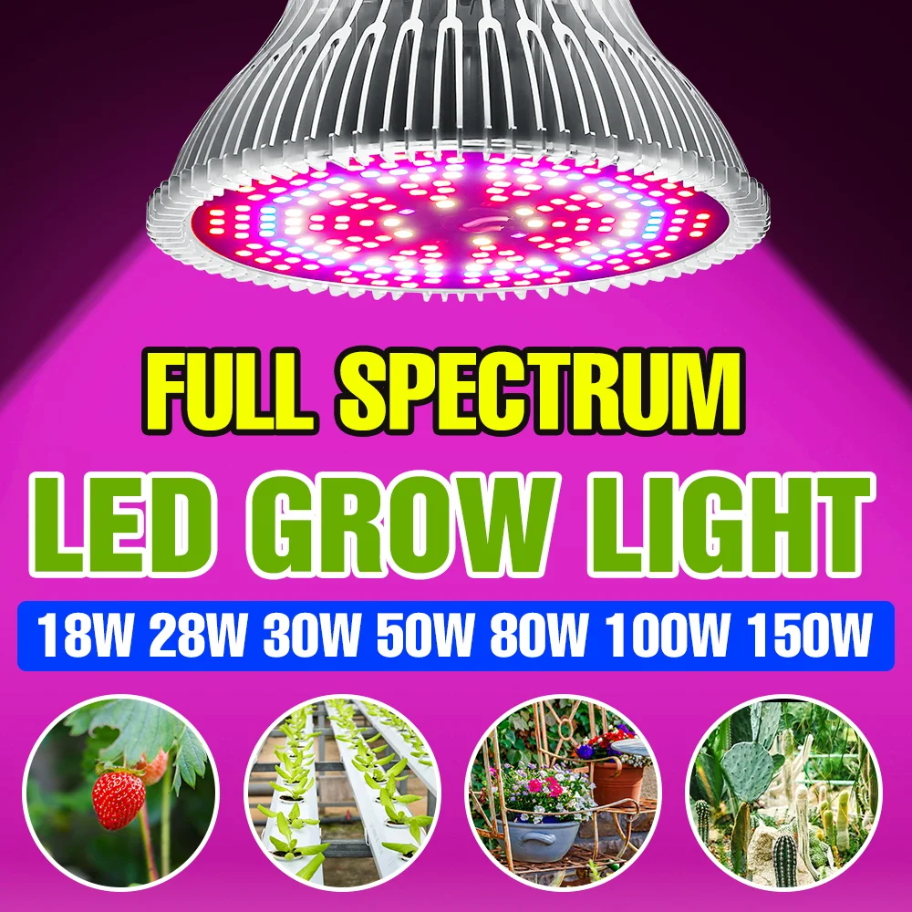 Led Hydroponics Light E27 Led Grow Light 220V Growing Box Phyto Lamp E14 Vegetable Plant Full Spectrum Bulb 18W 28W 30W 50W 80W
