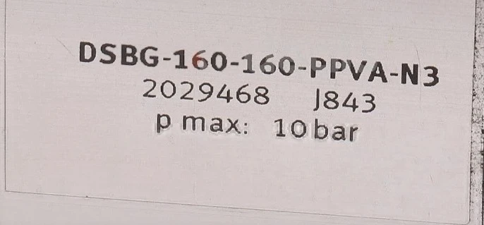Brand New DSBG-160-160-PPVA-N3 2029468 1Pcs Cylinder Fast Delivery