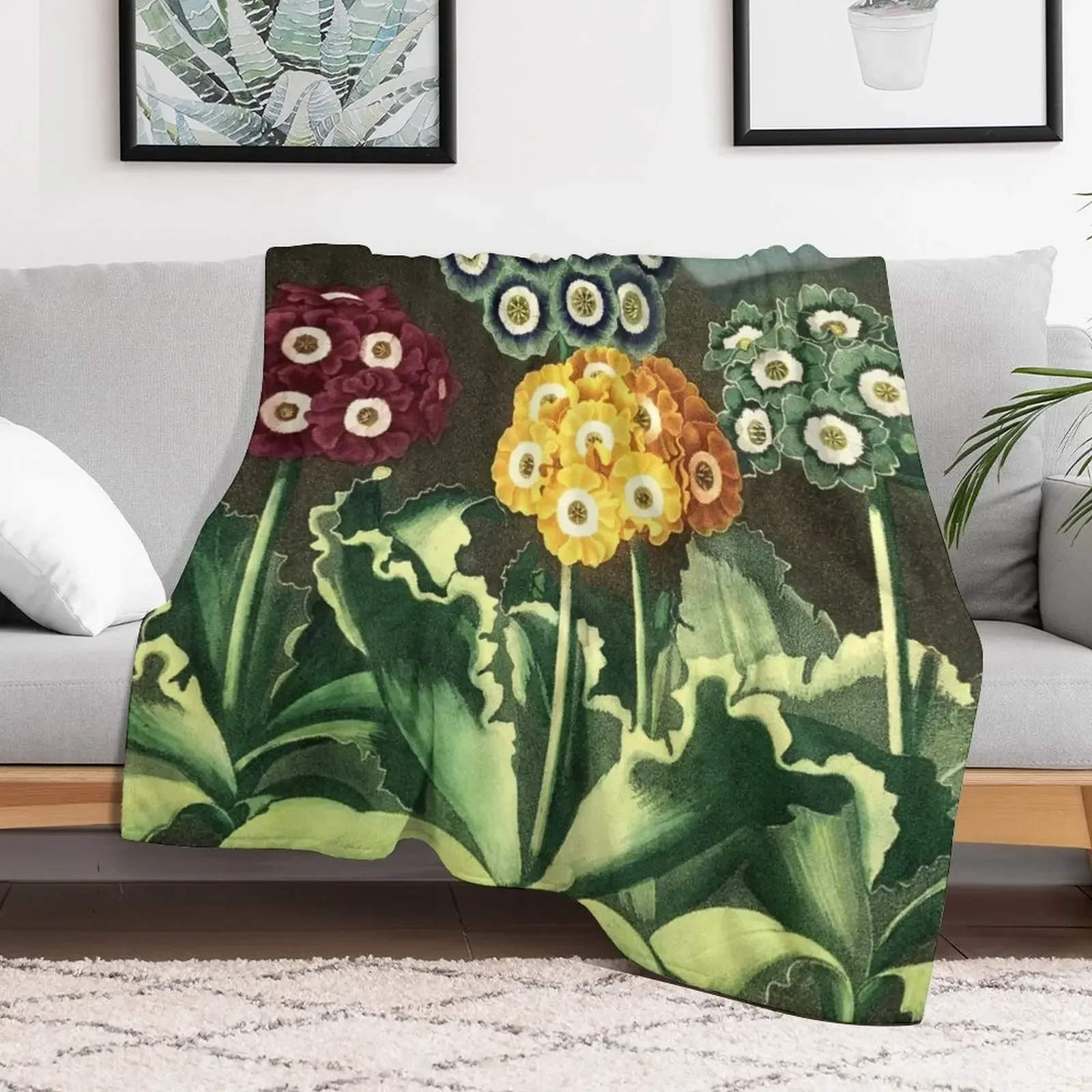 Colorful Auriculas - The Temple of Flora Botanical Throw Blanket warm winter Multi-Purpose Luxury Throw Blankets