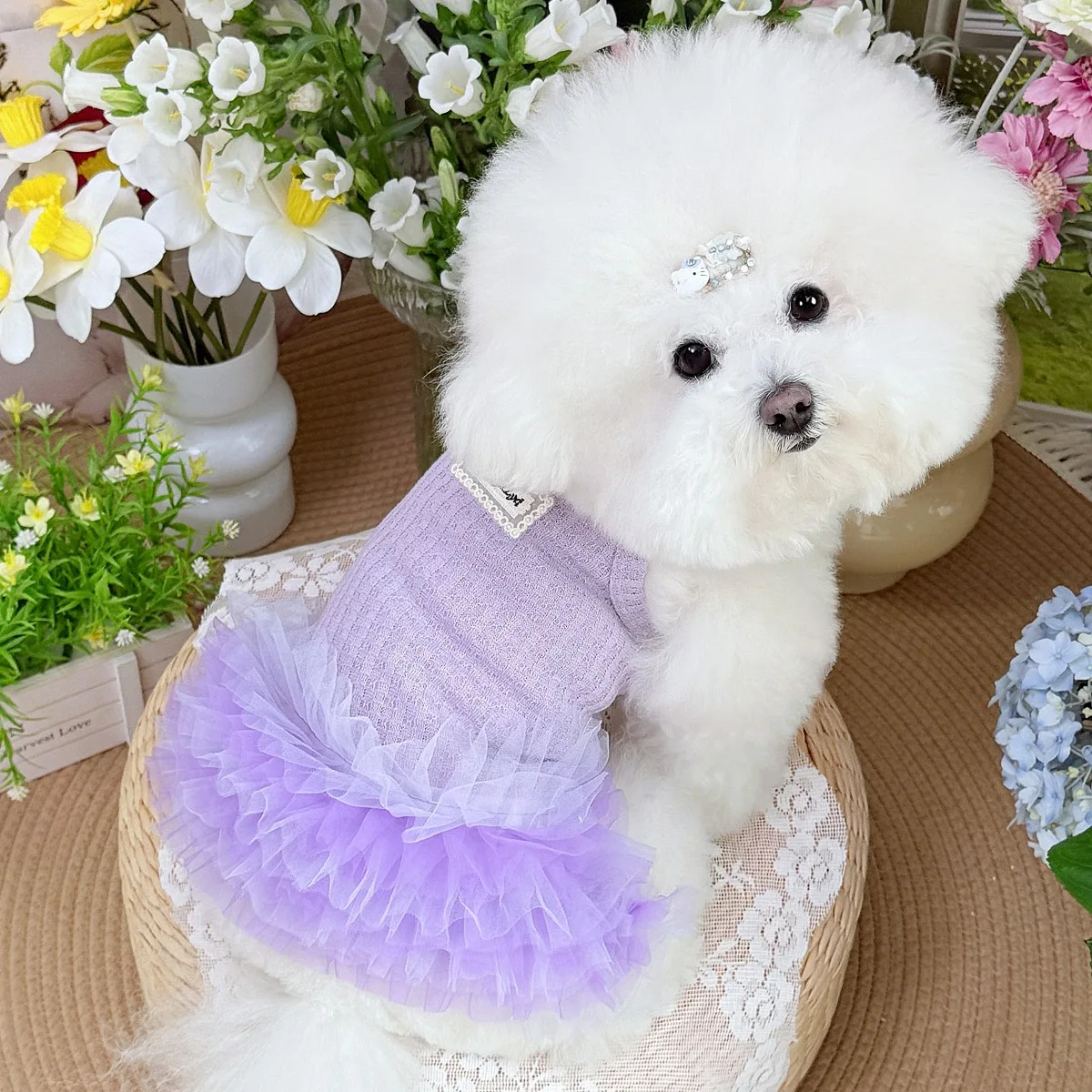 Adorable Pet Princess Dress: Spring/Summer Fluffy Tulle Skirt for Cats & Small Dogs (Bichon, Teddy, Schnauzer)