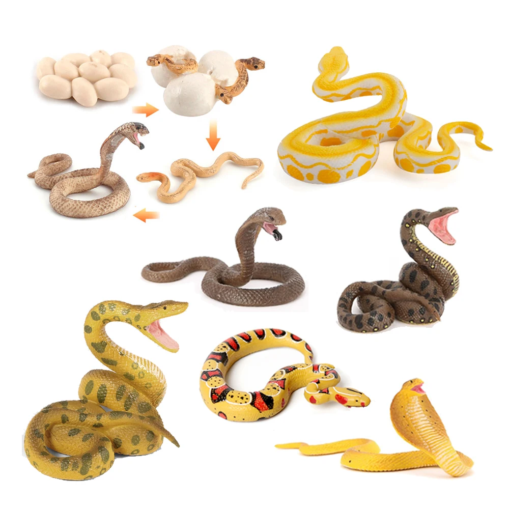 Snake Figurine Toy Animals Figures Python Krait Cobra Snakes Model Action Figure Life Cycle Animal Children Toys Game Kids Gifts