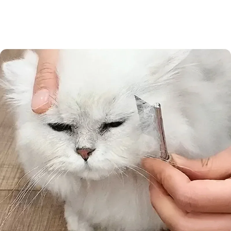 Stainless steel cat and dog facial hair cleaning comb mini pet grooming brush dense tooth small comb dog and cat accessories