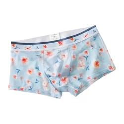 Culotte en maille ultra fine à imprimé floral pour homme, sous-vêtement en poudre bombée, boxer sexy, respirant et transparent, short d'été, slip zones me