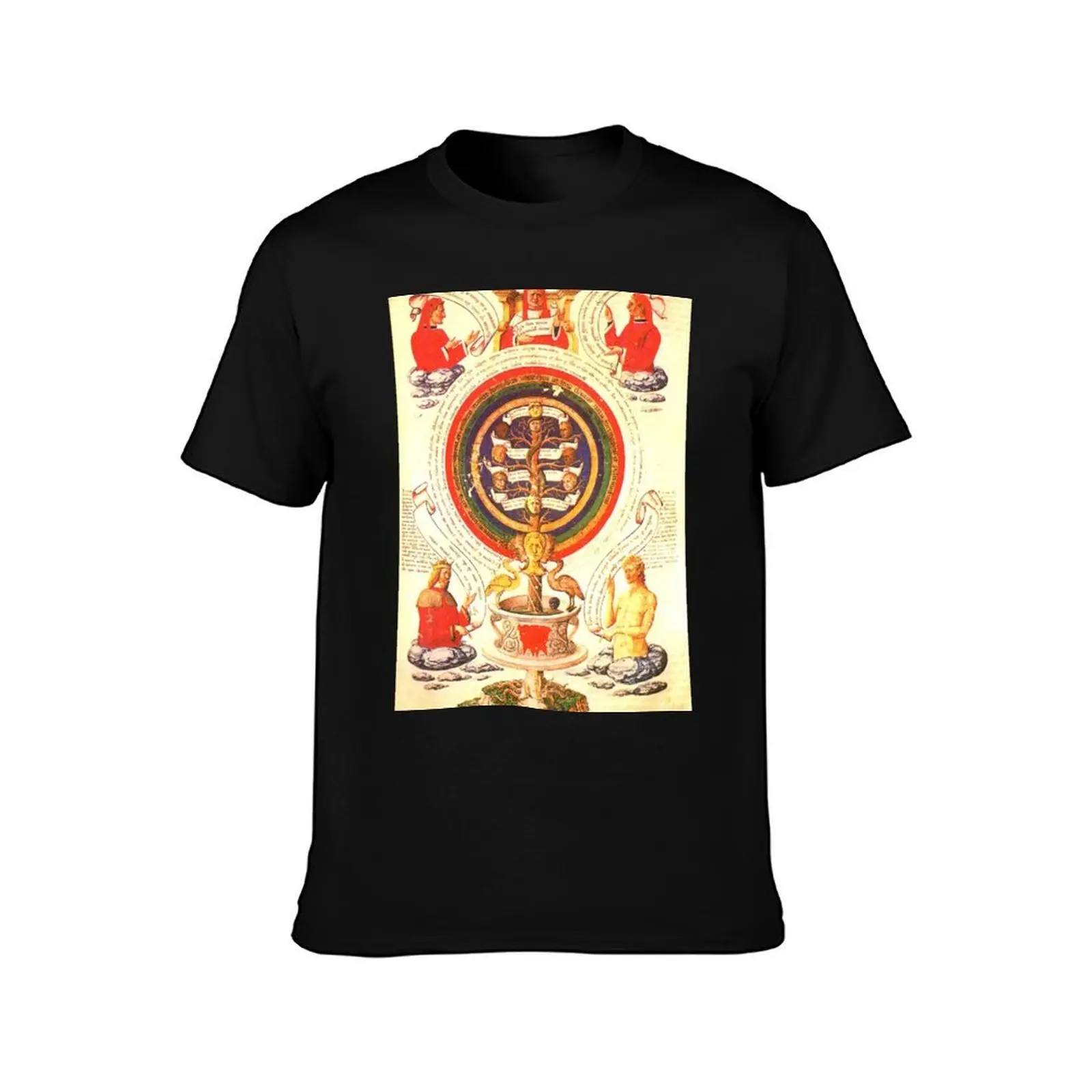 Raimundus Lullus Alchemical Page T-Shirt, Summer Casual Cotton Tee, Oversized Streetwear Tops, Vintage Graphic Print