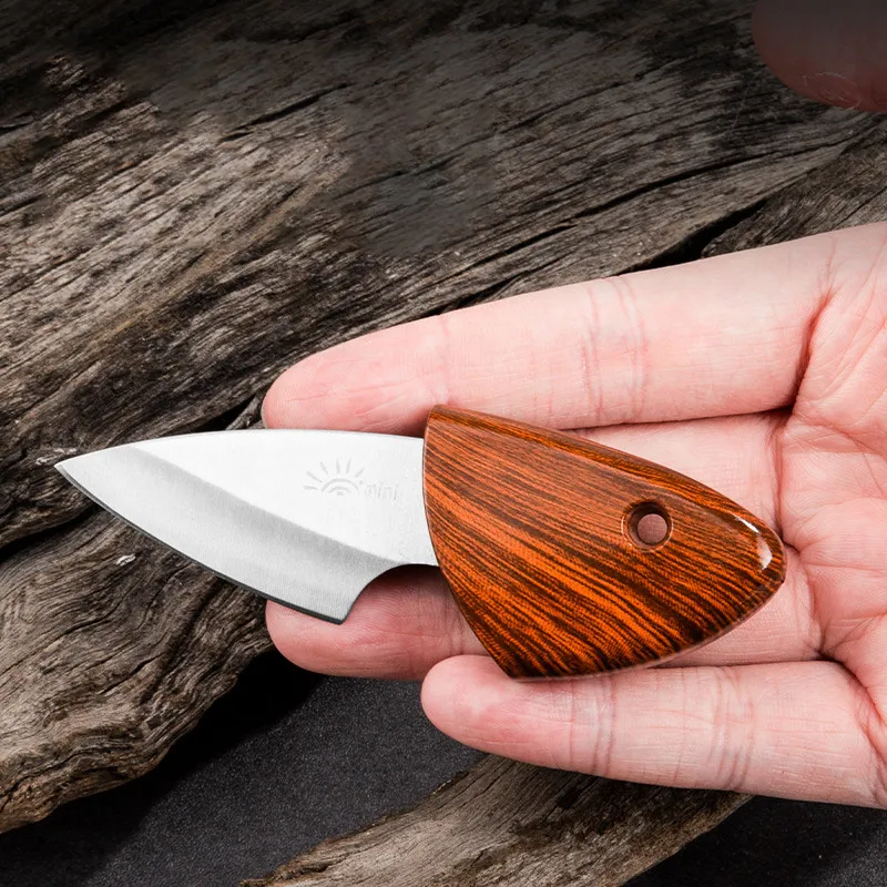 Mini Fruit Knife Outdoor Dismantling Express Portable Little Fat Dolphin Knife Camping Express Knife High Hardness Sharp