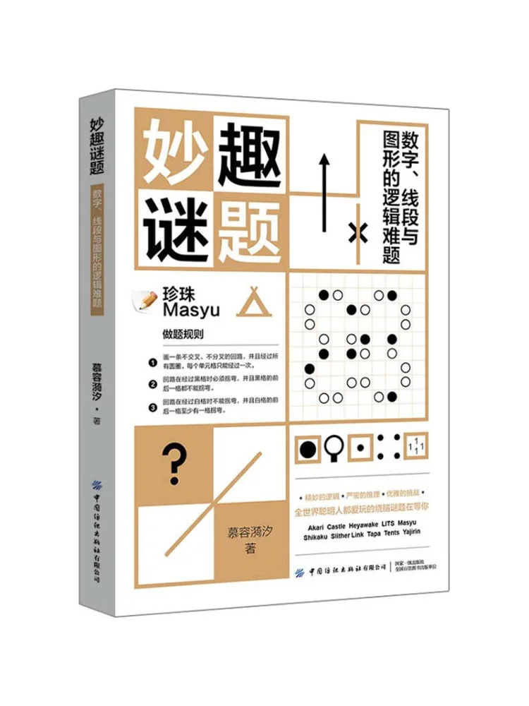 

Book-Winshare Interesting Puzzles Logical Challenges With Numbers Lines and Shapes