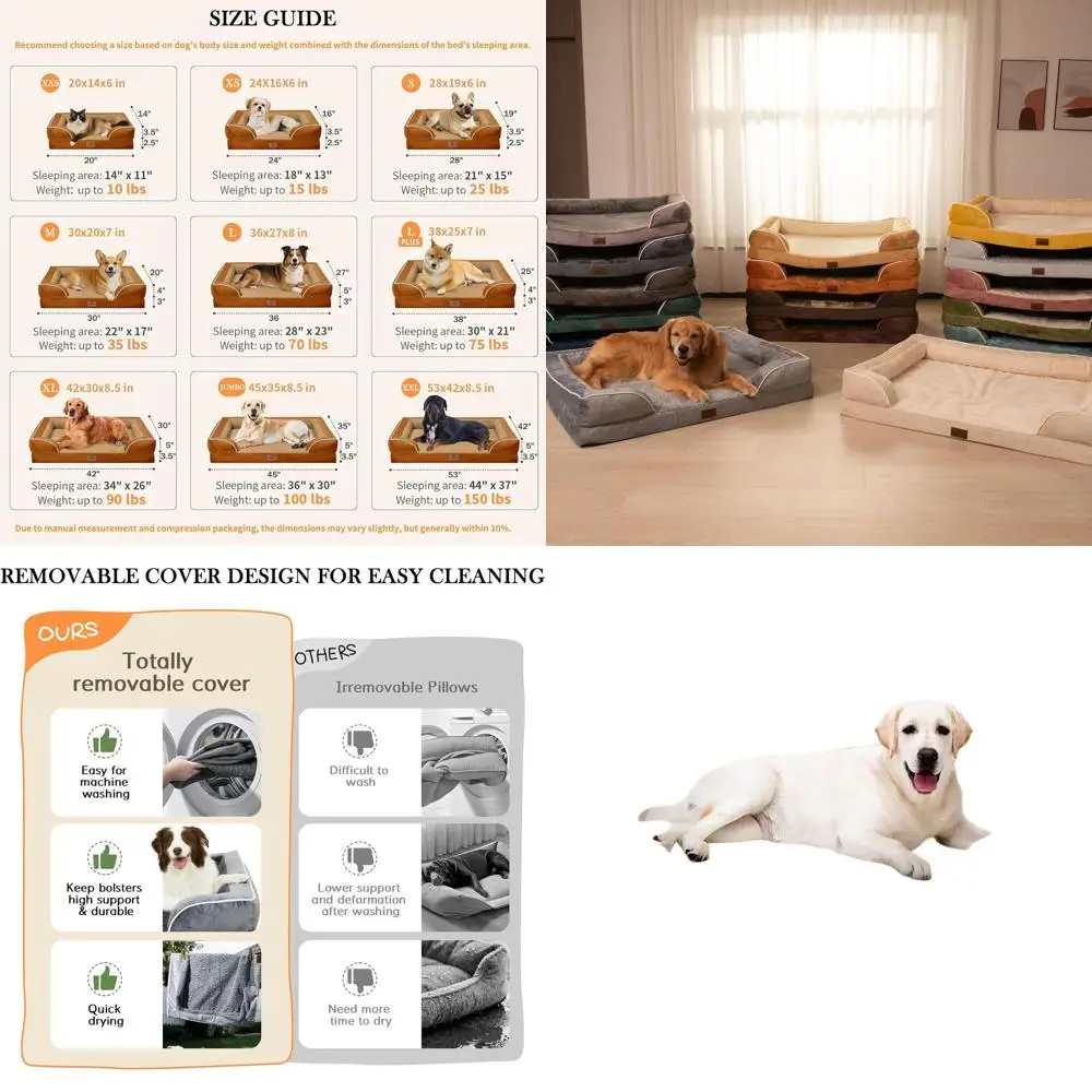 Large Orthopedic Do…