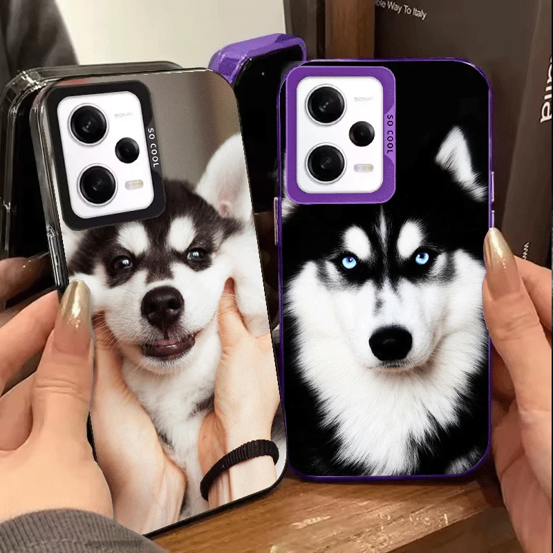 Alaskan Husky Cute Dogs Soft Phone Case for Samsung Galaxy S24 S25 FE S26 Edge S23 Ultra S22 Plus S21 + Shockproof Cover Back Sh