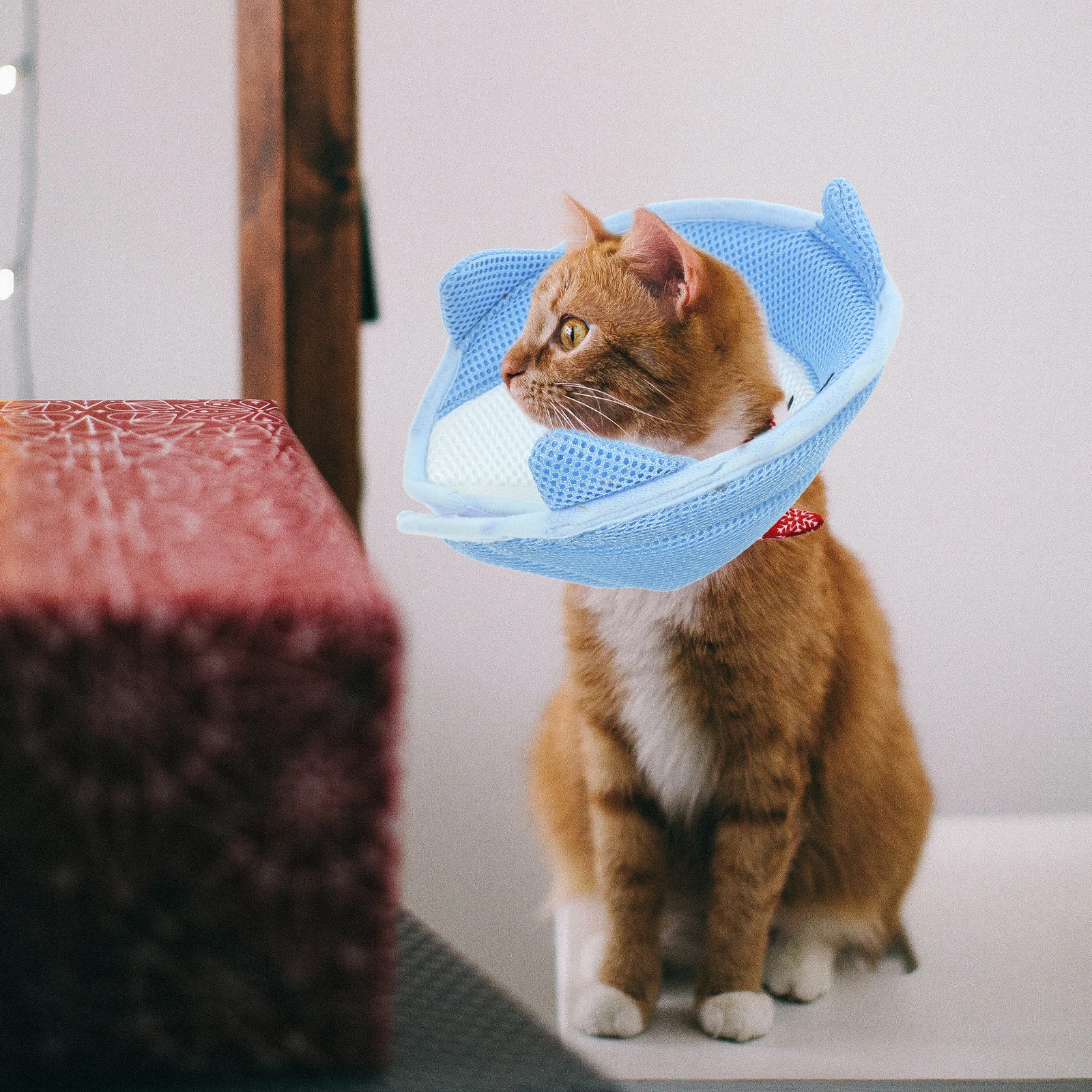 

Adjustable Cat Recovery Collar Soft Cone Protective Neck Pillow Comfortable Postoperative Collar for Cats Small Dogs Surgery