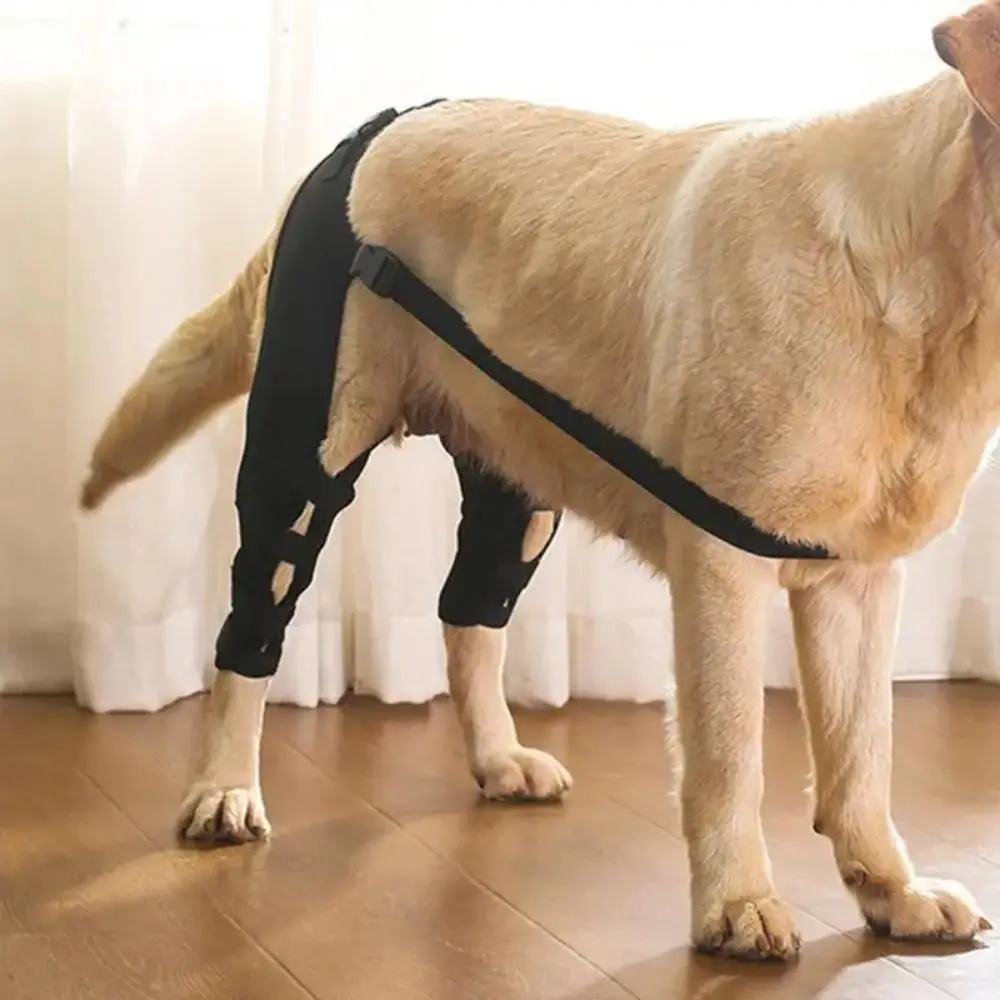 Joint Injury Recovery Pet Knee Pad Torn Hind Leg Knee Hip Joint Protect Brace Wrap Belt 4Size Cloth Legs Protector Pet