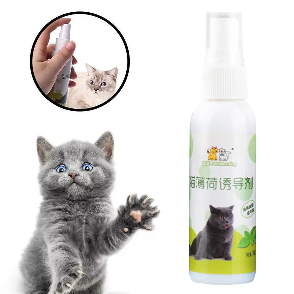 Inducteur à la menthe pour chat, spray à la menthe, spray frais, inducteur respirant, jouet d'entraînement, produits pour chat, sécurité sanitaire naturelle, 50ml, Z4I8