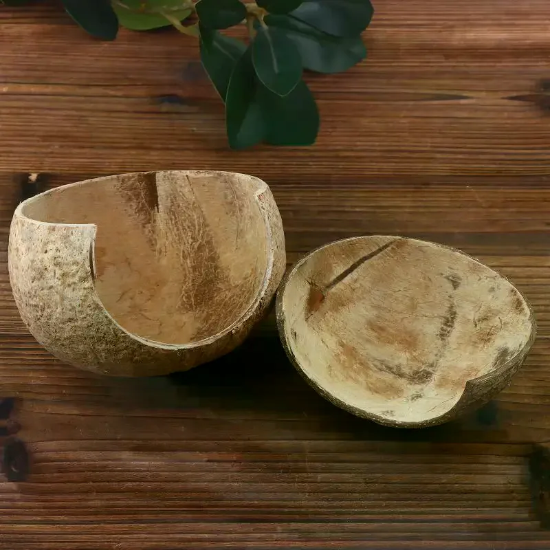Coconut Shells Hut Reptile Hideouts Shelter Hide Breeding Hermit Ornament House Growth For Aquarium Decor