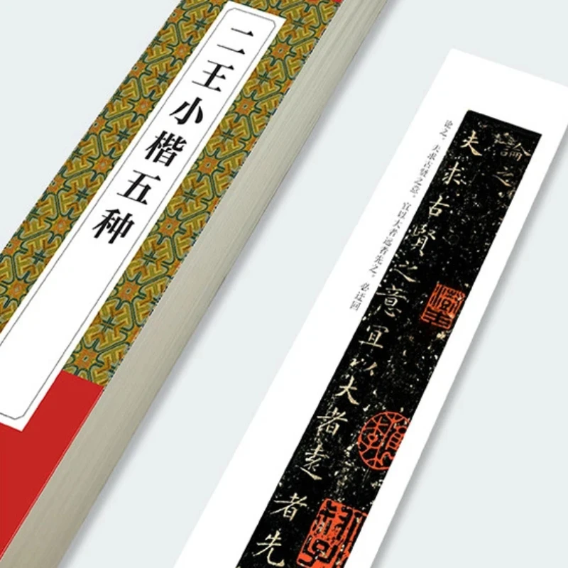 

Calligraphy Copybooks of Famous Artists Stone Inscriptions and Rubbings Close Range Enlarge Chinese Characters Tracing Booklets