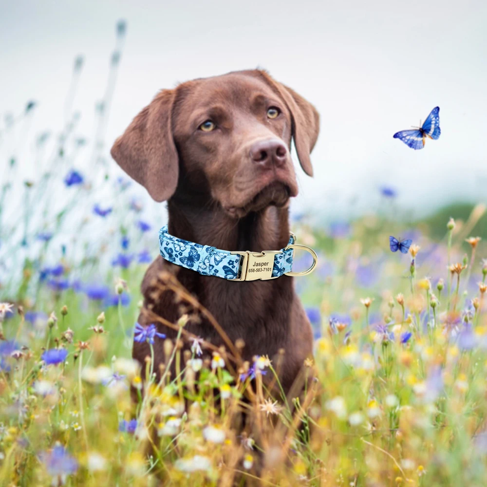 Personalisiertes Nylon-Hundehalsband mit Blumen- und Biene-Aufdruck, Welpenhalsbänder, kostenlose individuelle Haustier-ID-Halskettenhalsbänder für kleine große Hunde, Chihuahua – Detail 15