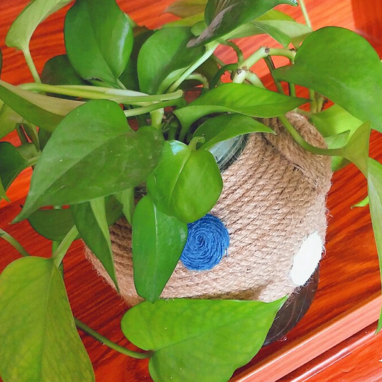 

Elegant 100M Jute Rope Decorative Twine for Christmas Tree Gift Wrapping Party Accessories Lightweight Craft Rope