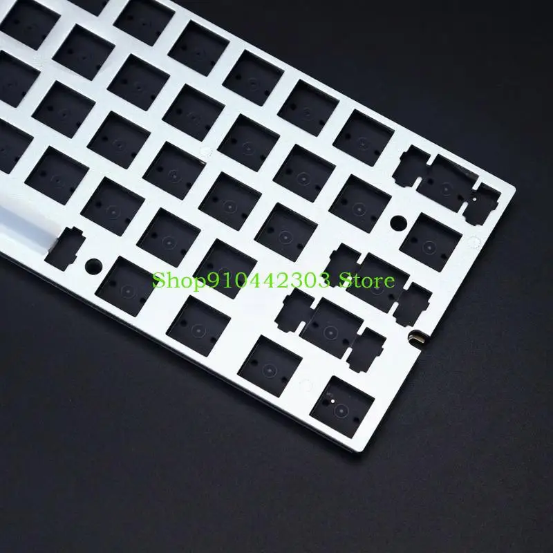 

Raven61 61-Key Mechanical Keyboard For Gamers DIY Keyboards with 1000-8000Hz Polling and Backlights Option Metal Keypad