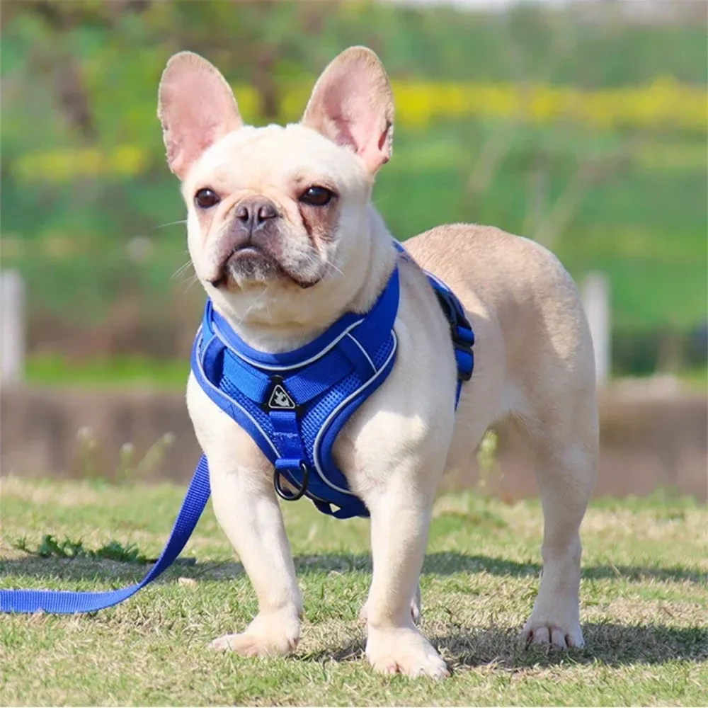 No Pull Dog Harness and Leash Reflective No Pull Harness Adjustable Reflective No Pull Harness Harness Vest for Small Dogs Cats Reflective Dog Chest Strap Lead Walking 5
