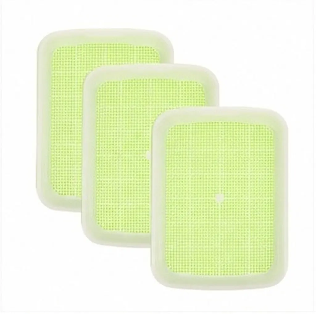3Pcs Premium Hydroponic Germination Tray Soilless Sprouting Basin for Beans Mung Planter Drought Resistant Nursery