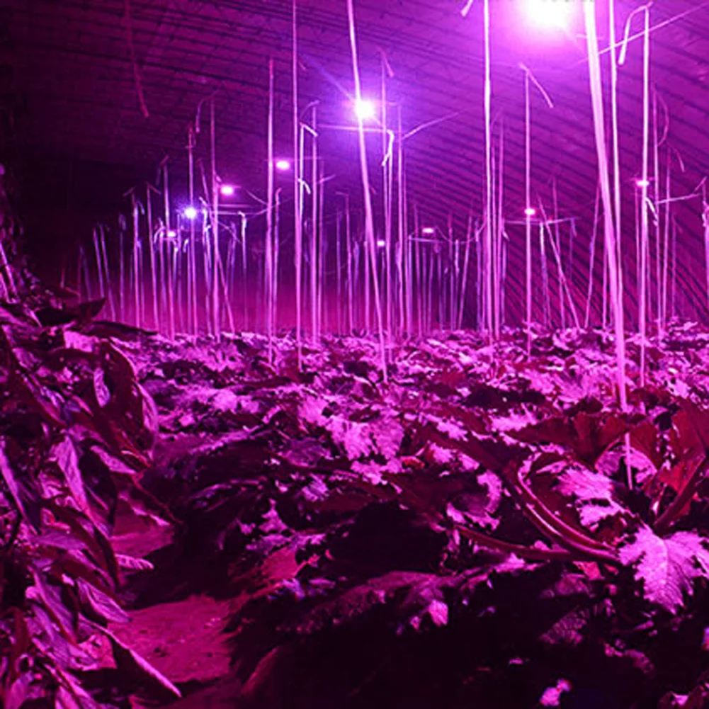 الطيف الكامل E14 LED تنمو ضوء داخلي المنزلية الدفيئة مصباح النبات الإضاءة الساطعة للنباتات المزهرة الخضروات