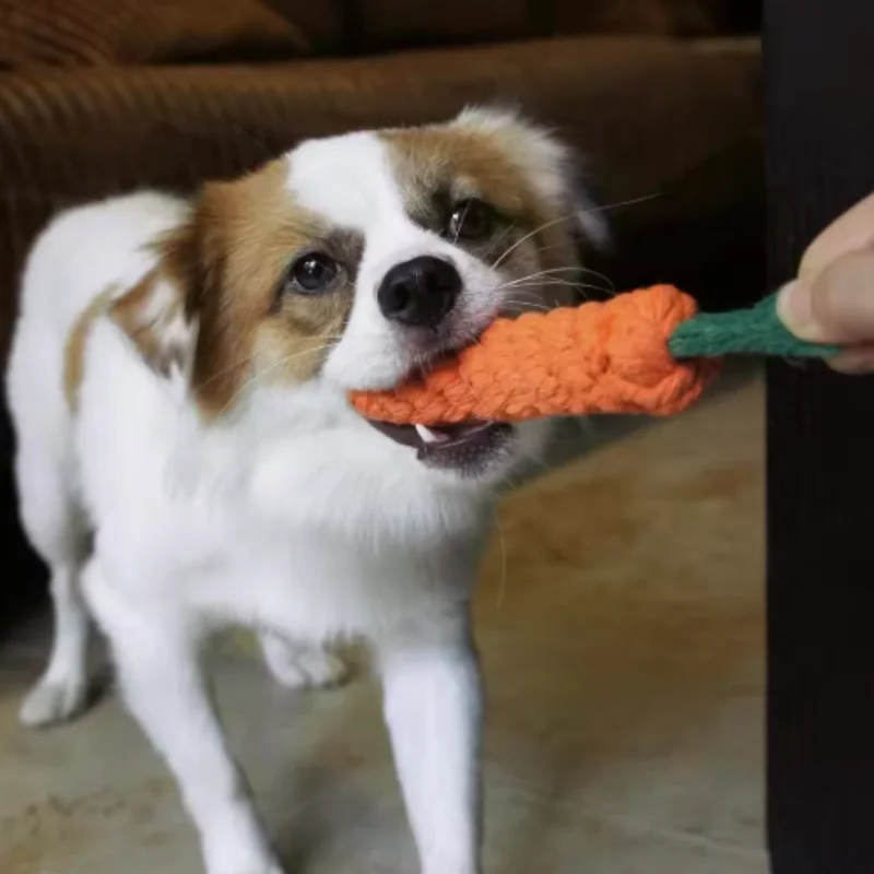#83 Best Dog Toys to Buy In 2026