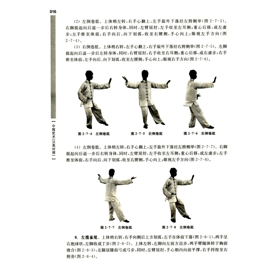 Bilingual Chinese Martial Arts Wu Shu Kung Fu Book by Dai Guobin in Chinese and English