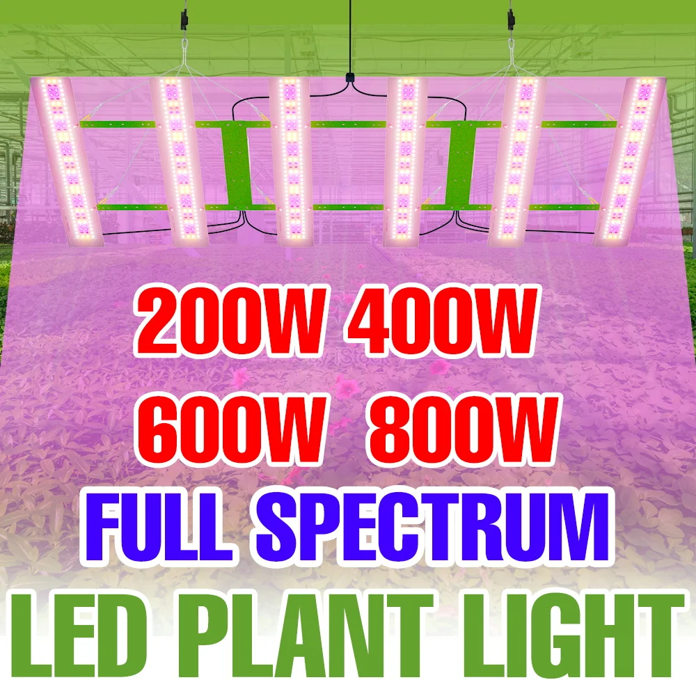 

800W LED Grow Light Full Spectrum AC100-277V Quantum Board Plant Cultivation Lamp UV/IR Greenhouse Moss Fruit Vegs Fill Lighting
