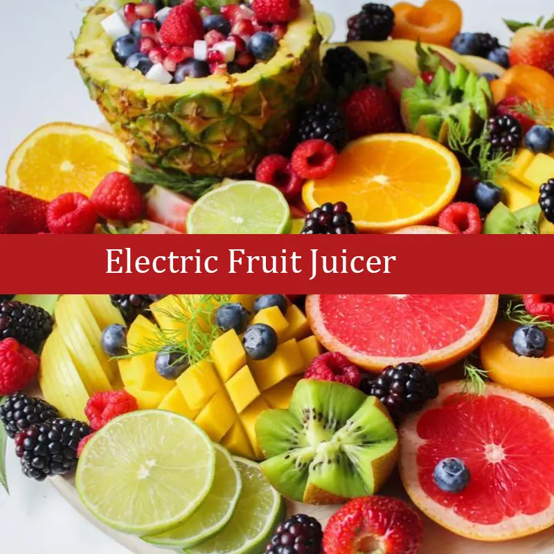 

Electric Juice Extractor Stainless Steel Commercial Fresh Juice Press Home Mini Juicer Squeezer Machine