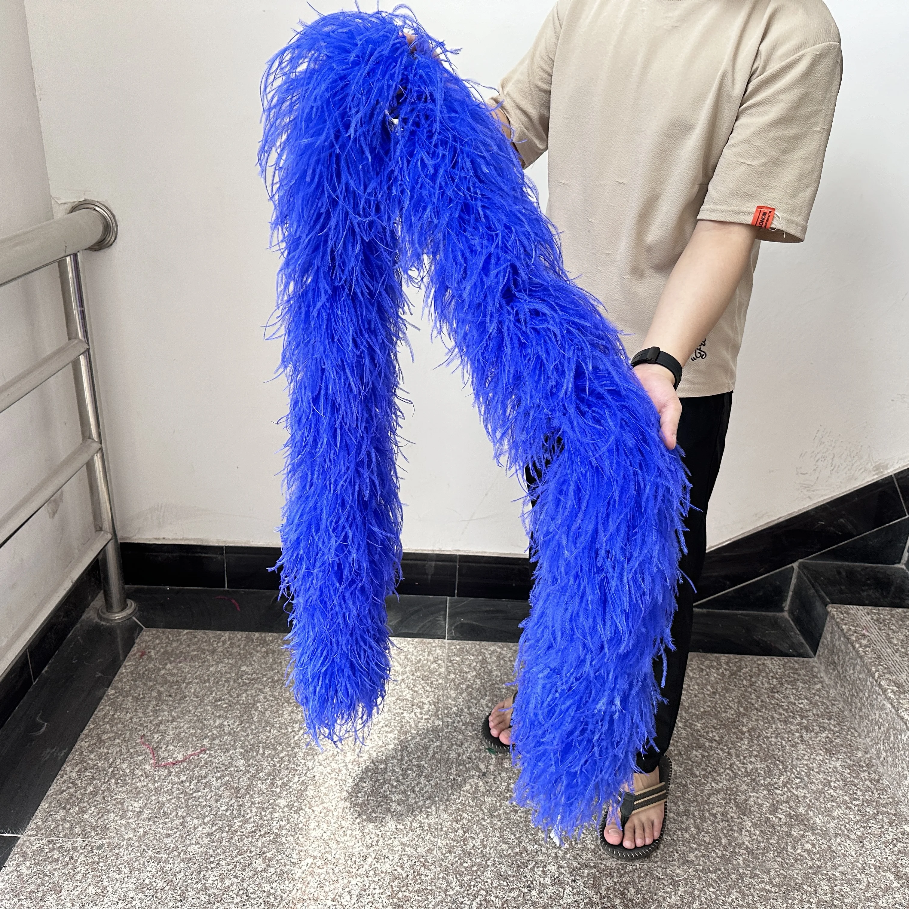 2 6 8 10 15 Ply Natural Ostrich Feather Boa 2M Plumes Trim for Wedding Dress Sewing Accessories Customized Costume Decoration