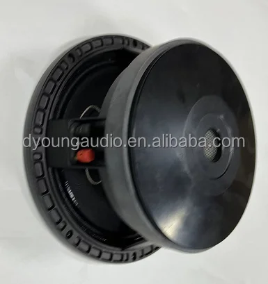 ​ ​ 10인치 전문가용 미드베이스 스피커 - 3인치 보이스 코일 우퍼 (700W RMS, 고출력 PA 시스템 구성품, 투어급 캐비닛 디자인)