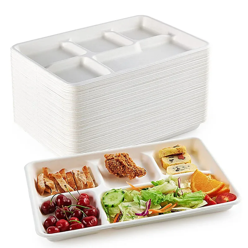 10/30Pcs Disposable Paper Plates, 5 Compartment School Lunch Trays, Compostable Bagasse Plates for Buffet Party