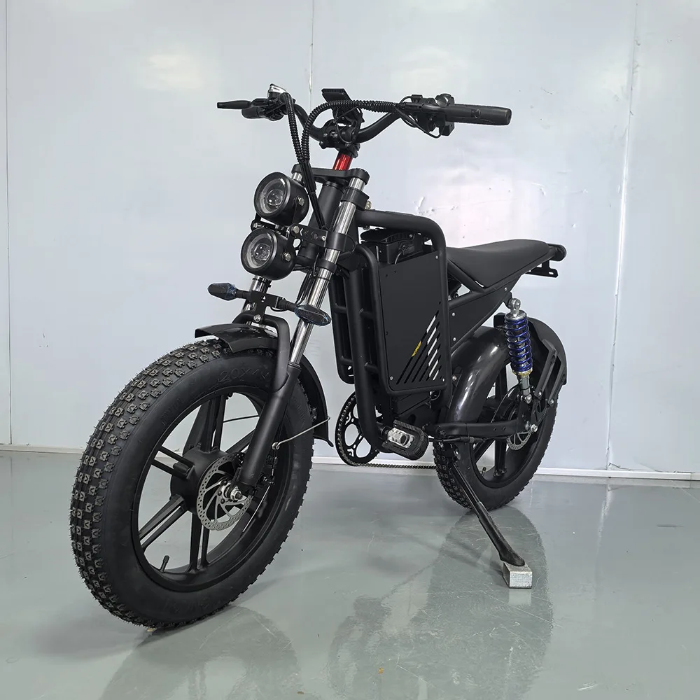 DXY20 inch electric bicycle lithium battery electric bicycle snow black knight SUPER 73 snowmobile off-road vehicle