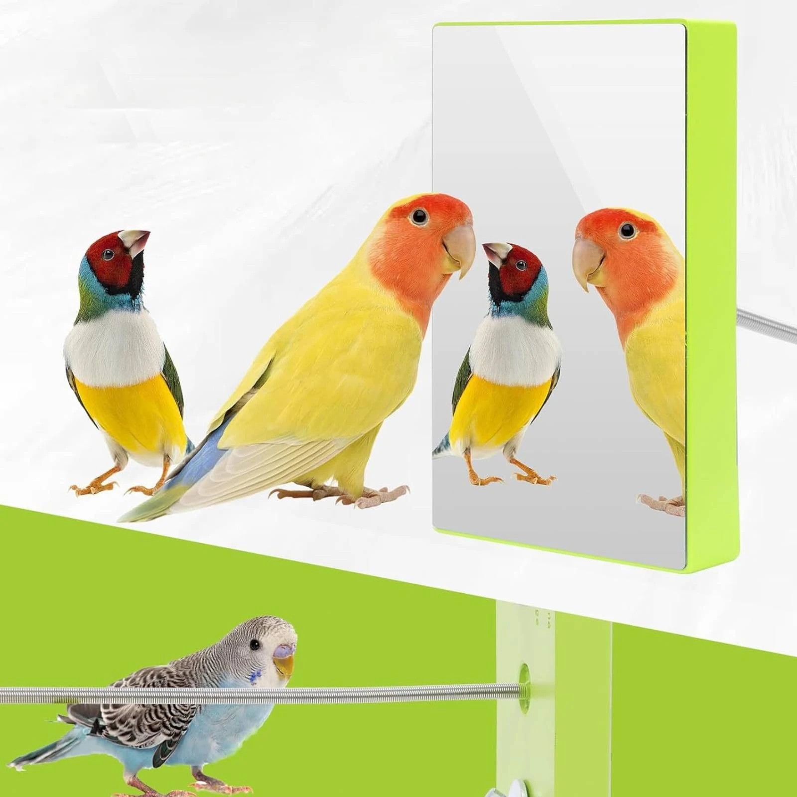 Pet Heater Easy to Clean Low-Voltage Small Animal Heater Thermostatically Controlled Bird Warmer Slim for Hamster Owners