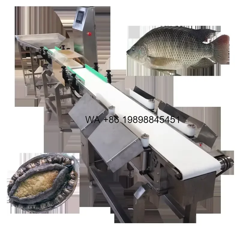Wmwmnu for Automatic PLC Controlled Belt Fish Sorting Grading Weight Sorting