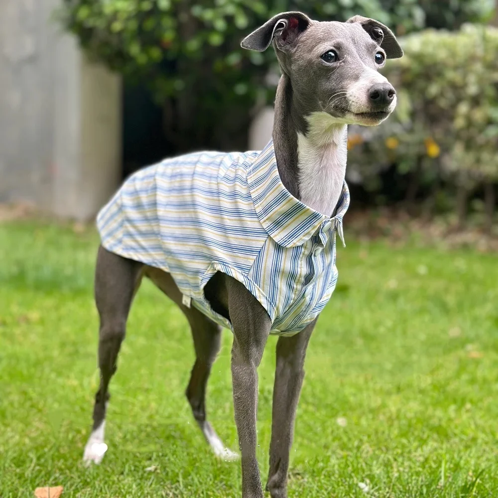 Italian Greyhound Blue Striped Cotton sleeveless Shirt Cool and Comfortable fabric Summer Ultra-thin Whippet Dog Clothes