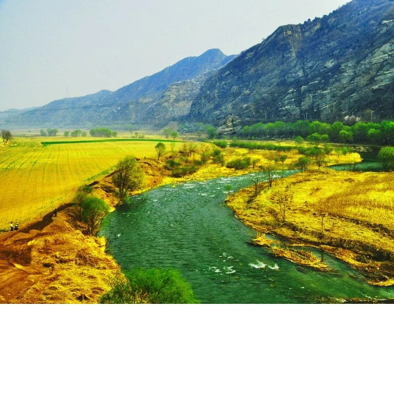 

2-Segment Shark Fin Rear Diffuser For Audi A6 C7 C8 2011-2026 2012 2013 Rear Bumper Lip Splitter Chassis Spoiler Tuning Parts