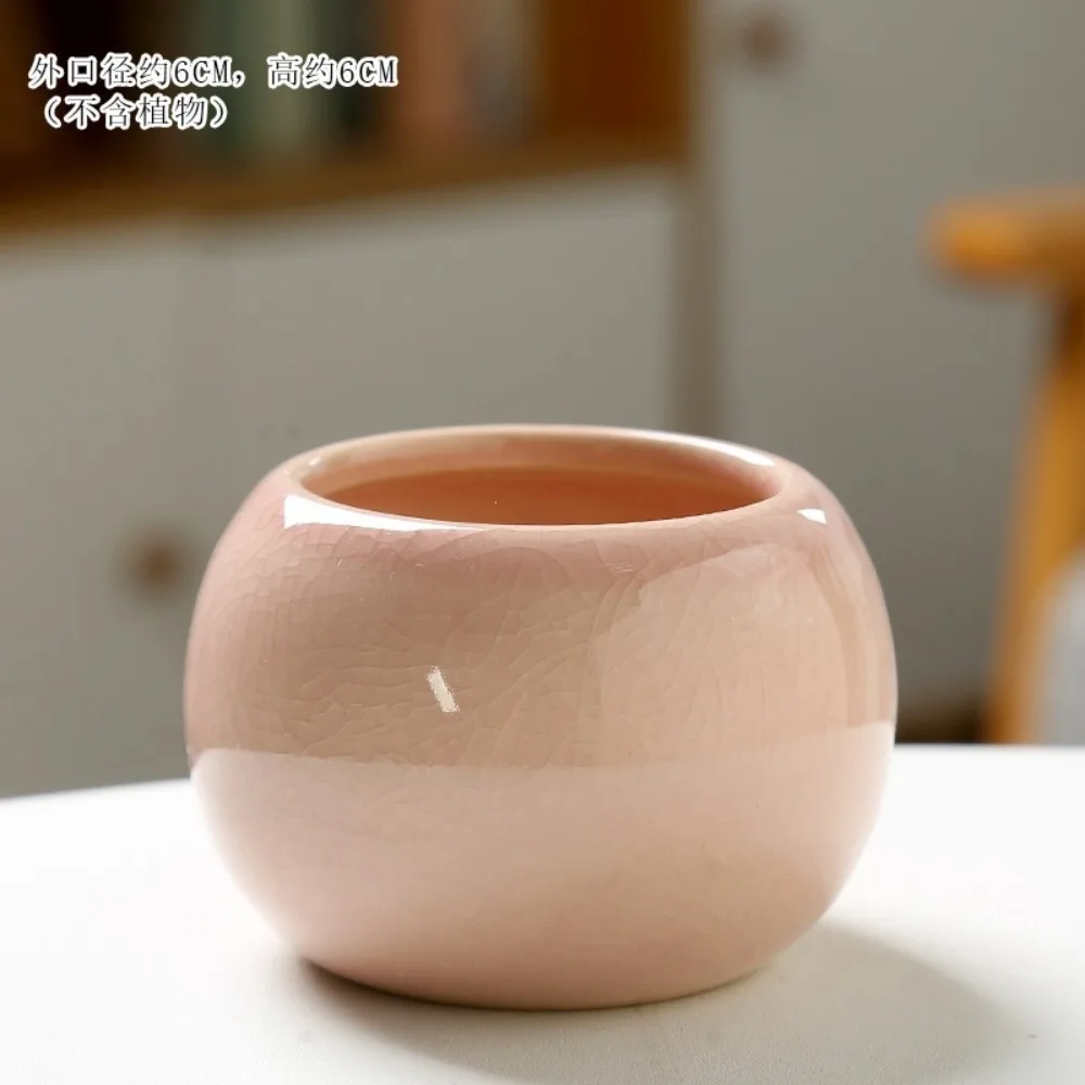 Succulent flower pot with ice crack, small and cute cartoon shape, simple ceramic home desktop decoration, meat flower pot