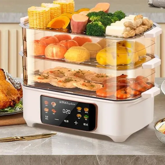 الاستخدام المنزلي 60 لتر باخرة كهربائية سعة كبيرة 2025: وعاء 7 لتر، وظائف مرئية وذكية