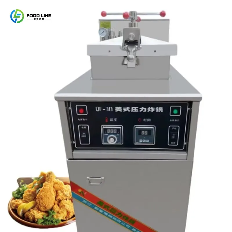 Customized Hot Selling Electric Gas Chicken Fryer Deep Pressure Fryer For Chicken Fillet French Fries Fried Chicken