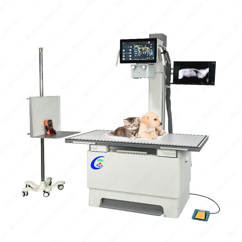 32kw digital dynamic double-screen veterinary X-ray machine DR with  bed