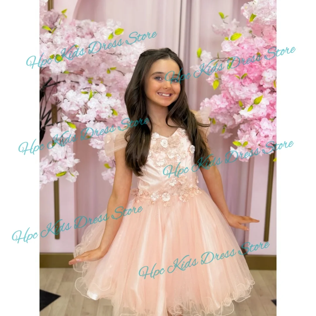 Pink Floral Embroidered Tulle Flower Girl DressWedding  V-Neck Princess Ball Gown for Birthday Party Piano Recital Kids Formal W