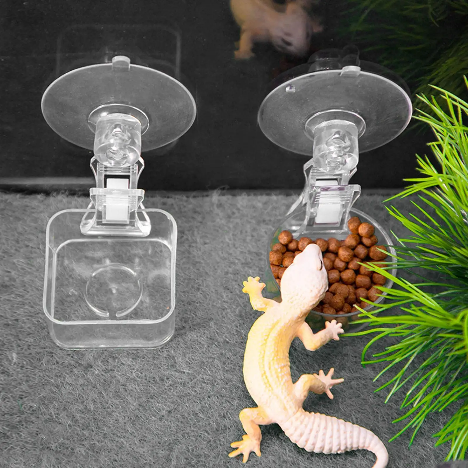 

Chameleon Food Bowl Reptile Feeder With Suction Cup Habitat Decoration Pet Water Container Tray For Lizards Spider Tree Frogs