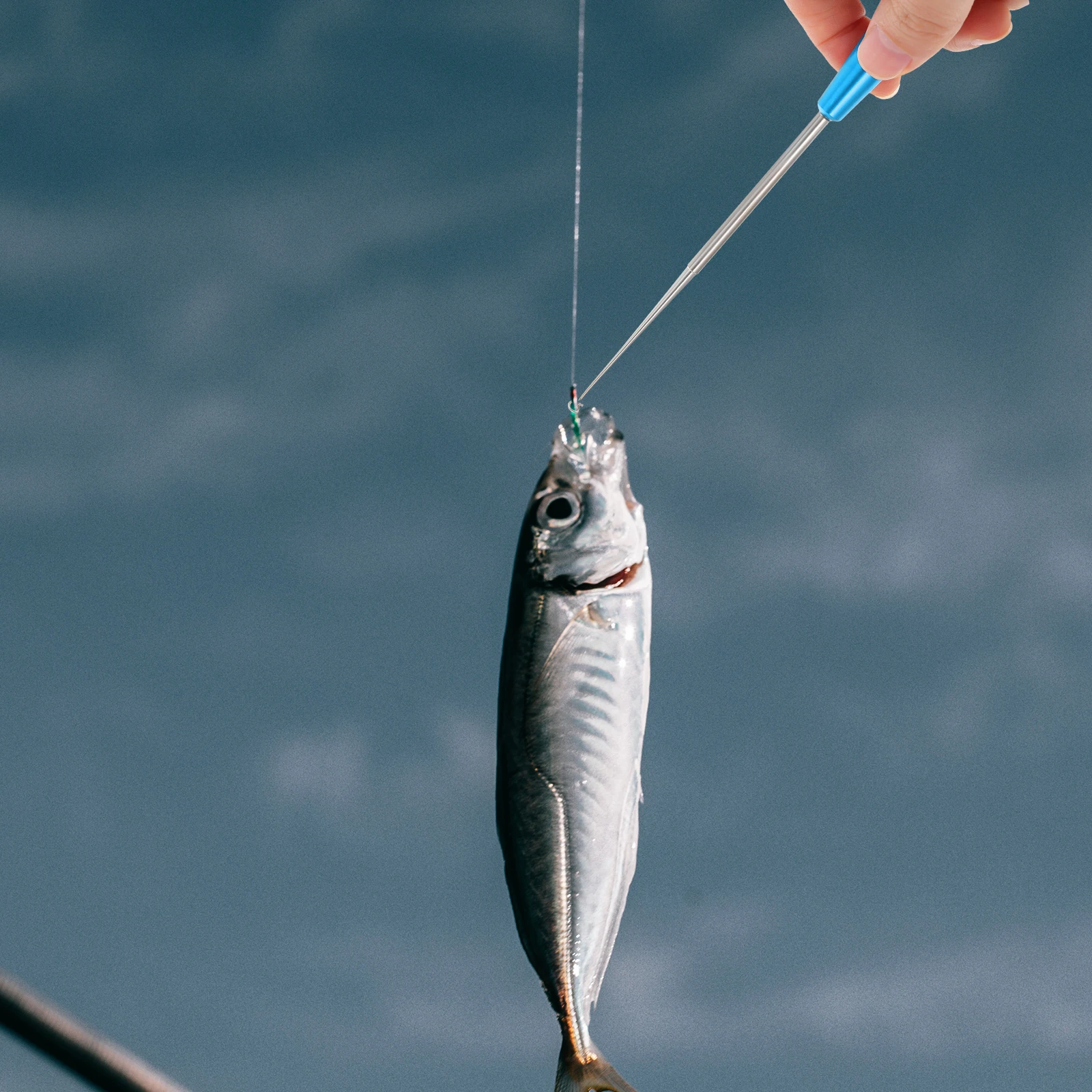 

2 Pcs Stainless Steel Hook Remover Tool Fishing Blind Decoupler Fish Unhooking Device Corrosion Resistant Outdoor