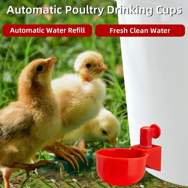 Chicken Drinking Cup Automatic Drinker Chicken Feeder Plastic Poultry Waterer Drinking Water Feeder for Chicks Duck Goose Quail